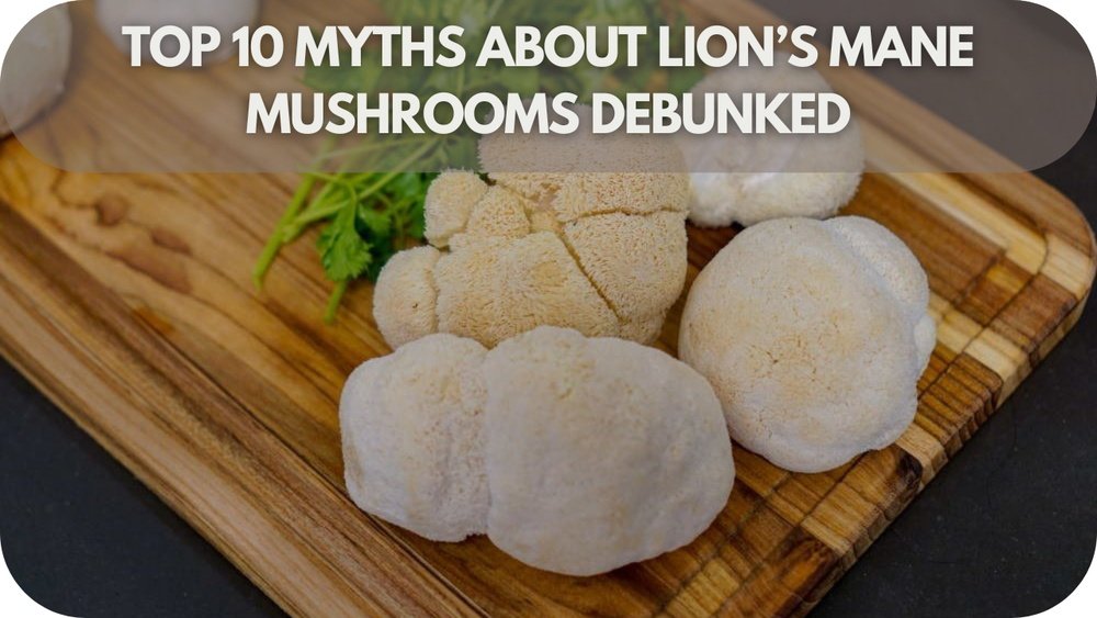 10 Myths About Lion'S Mane Mushroom Debunked by Science
