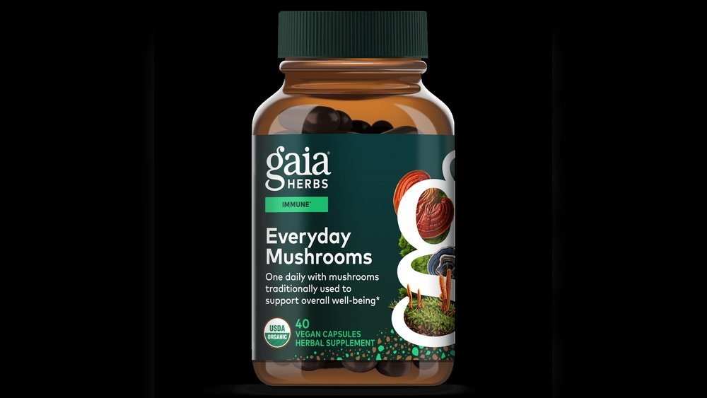 A Beginner'S Guide to Mushroom Protocols for Everyday Immune Support