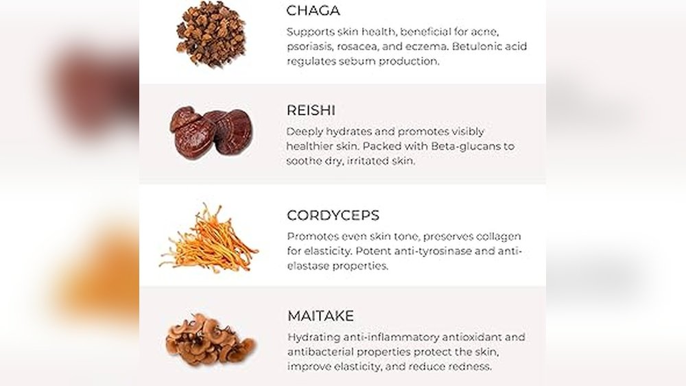 Chaga And Skin Health: Fighting Aging And Acne And Eczema from Within