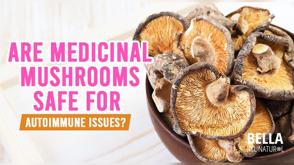 Chaga for Autoimmune Disease: Can It Calm an Overactive Immune System?