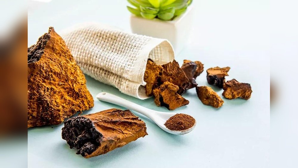 Chaga for Diabetes: Can It Help Regulate Blood Sugar Levels?