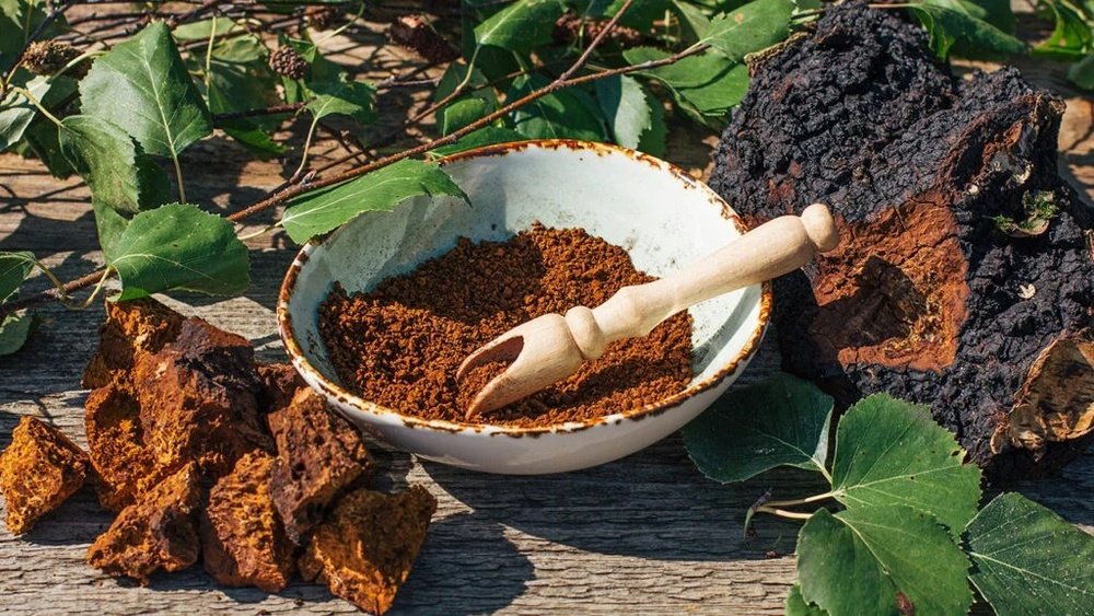 Chaga for Heart Health: Lowering Cholesterol And Blood Pressure Naturally
