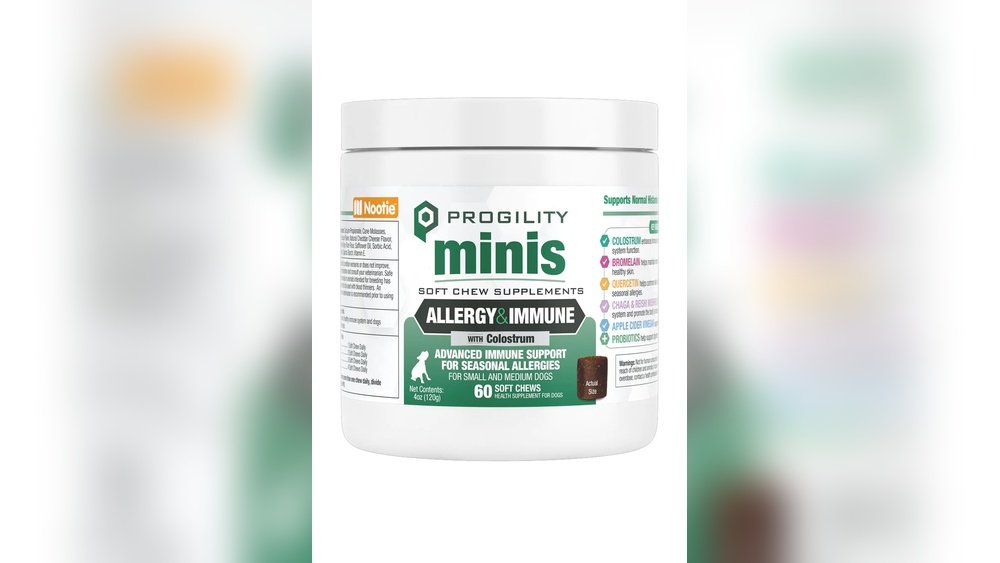 Chaga for Seasonal Allergies: Calming the Histamine Response