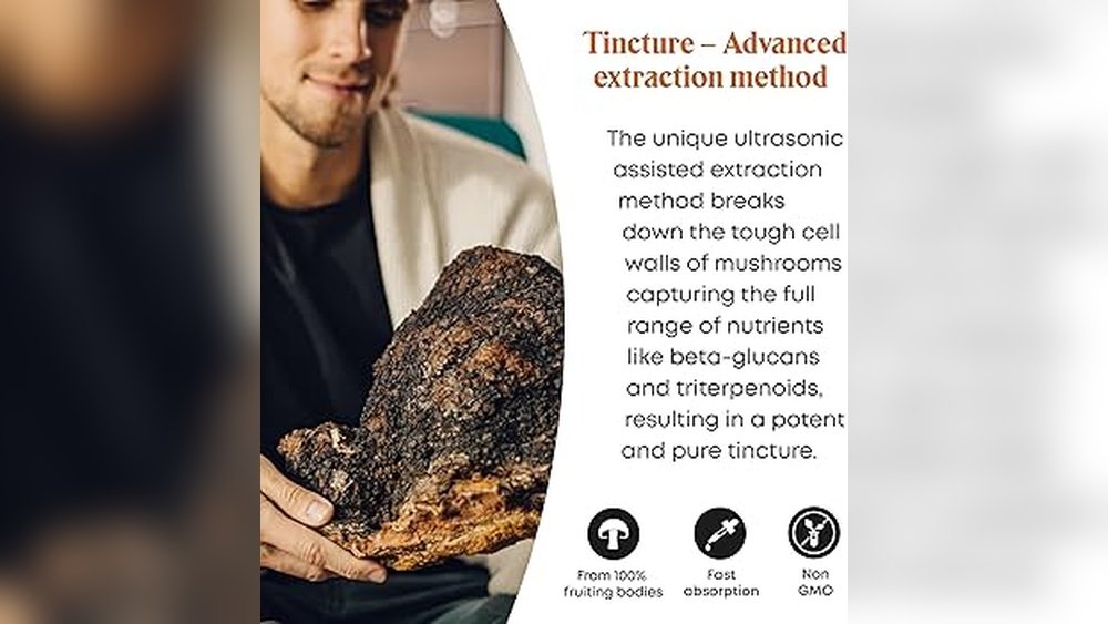 Chaga Mushroom Tincture Vs Tea: Which Extraction Captures More Benefits?