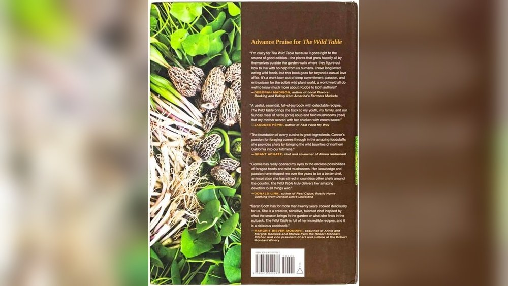 Foraging Safety Rules: 10 Commandments Every Wild Mushroom Hunter Must Follow