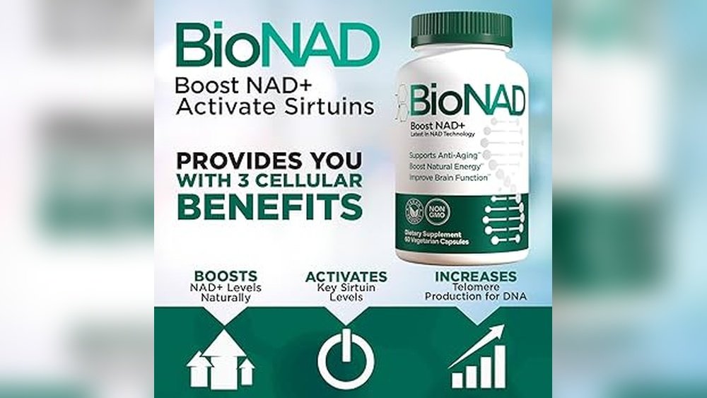 Functional Mushrooms for Anti-Aging: Telomeres And Sirtuins And Nad+