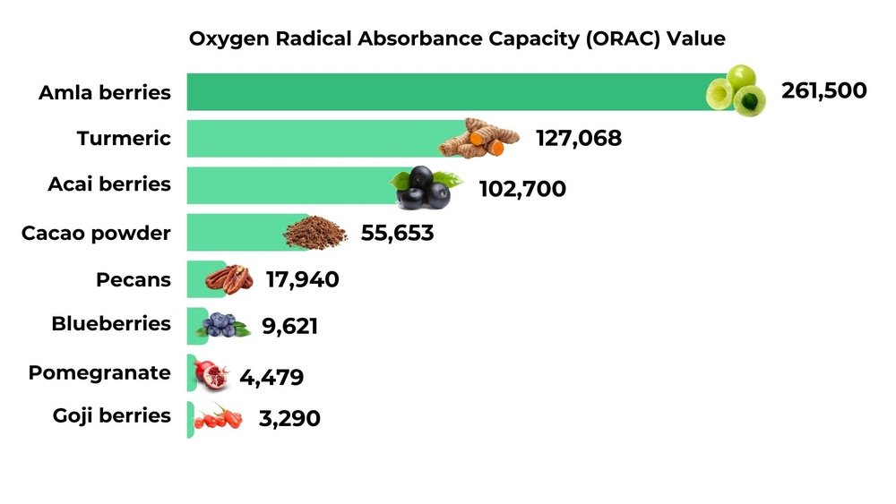 How Chaga Compares to Green Tea And Turmeric And Acai for Antioxidants