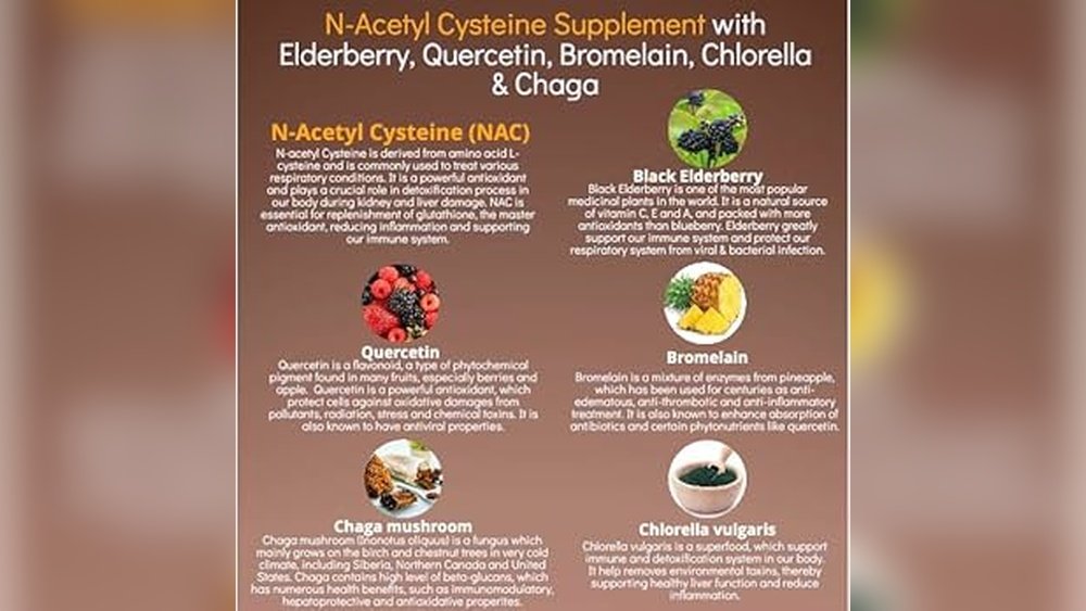 How Chaga Supports Liver Detoxification And Hepatoprotection