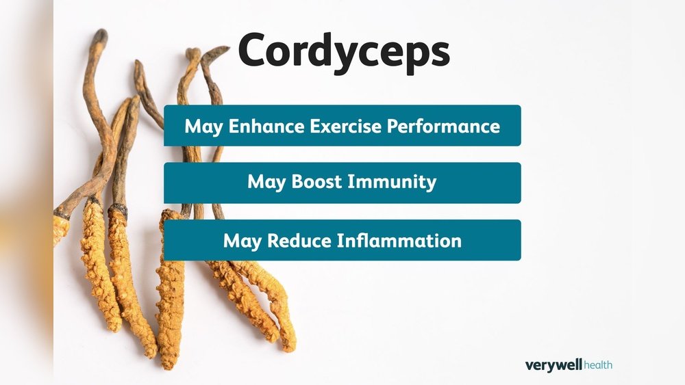 How Cordyceps Affects Heart Rate During Intense Exercise