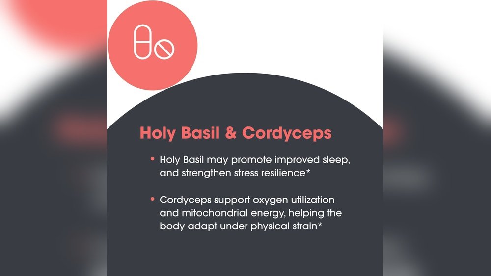 How Cordyceps Helps Your Body Adapt to Physical Stress