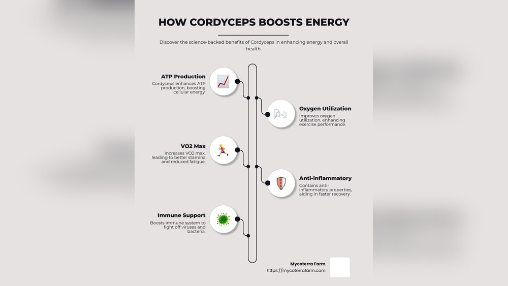 How Cordyceps Improves Oxygen Utilization During Exercise