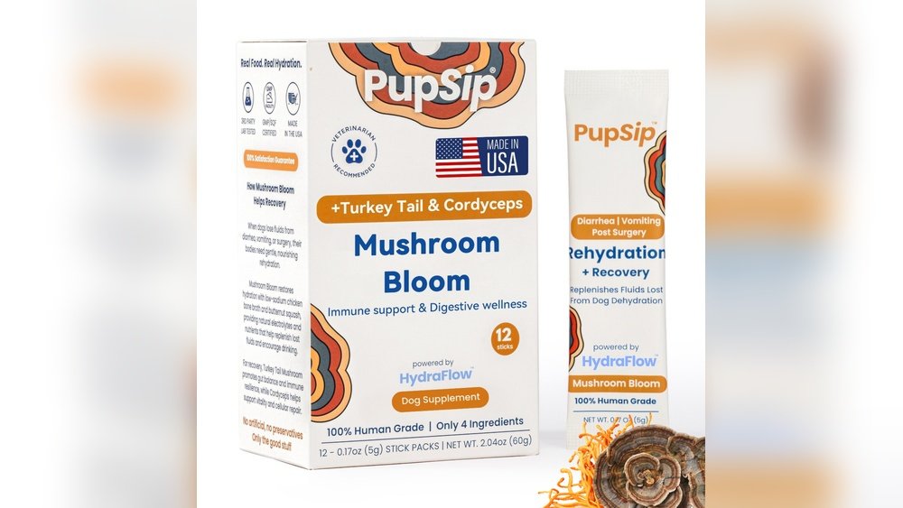 How Functional Mushrooms Support Post-Surgery Immune Recovery