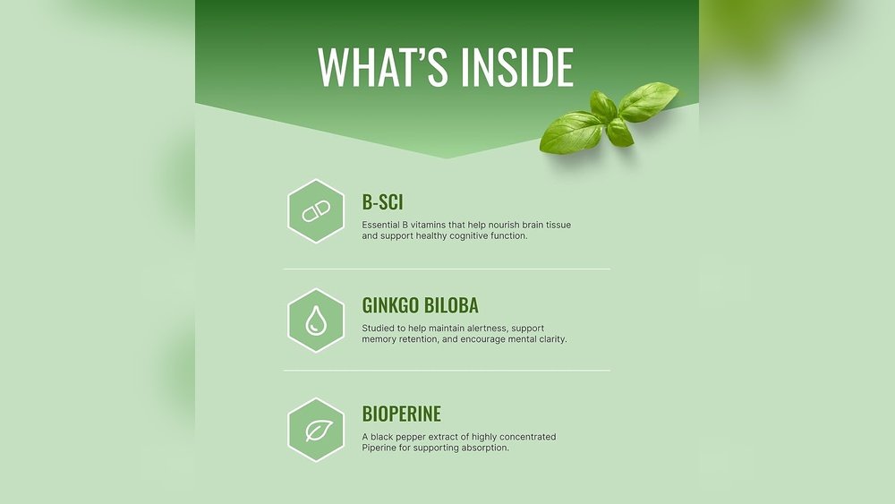 How Lion'S Mane Protects Against Age-Related Cognitive Decline