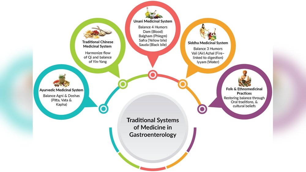 How Medicinal Mushrooms Complement Functional Medicine Practice