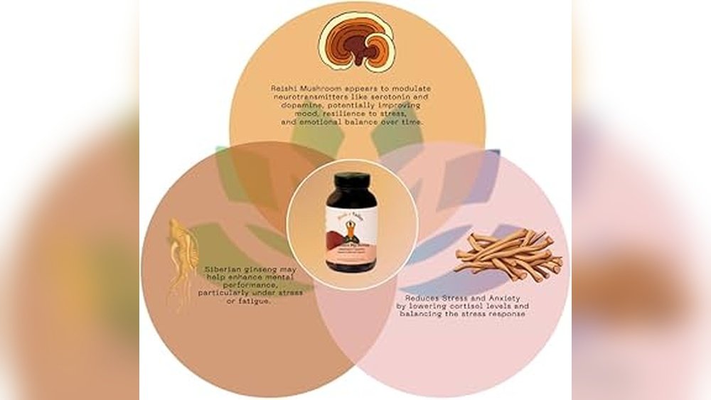 How Reishi Mushroom Supports Emotional Resilience in Stressful Times