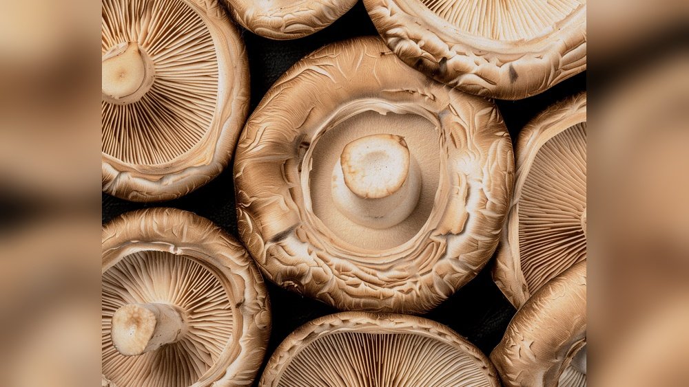 How Shiitake Ergothioneine Protects Your Cells from Oxidative Damage