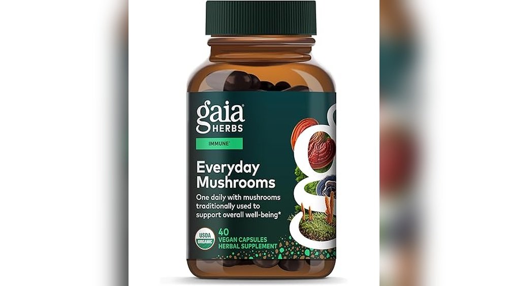 How to Build a Mushroom First Aid Kit for Everyday Health Support