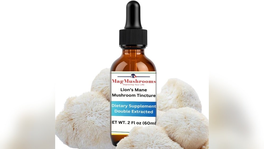 How to Choose Between Lion'S Mane Capsules And Tinctures And Gummies