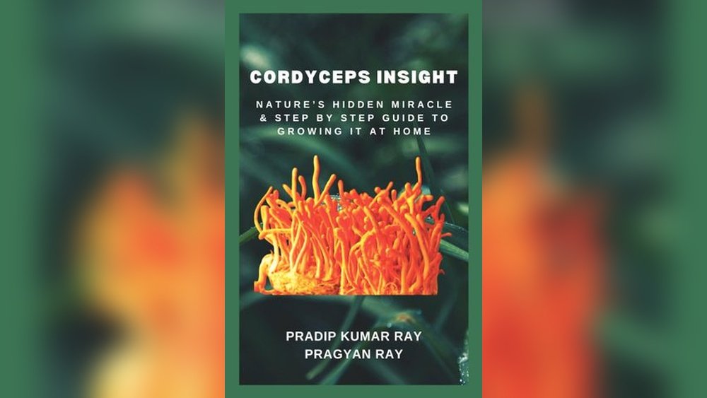 How to Grow Cordyceps Militaris at Home: A Step-By-Step Guide