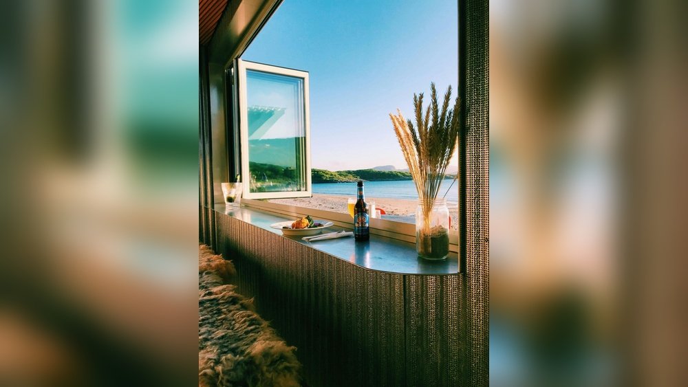 How to Identify Chaga on Birch Trees: A Visual Field Guide