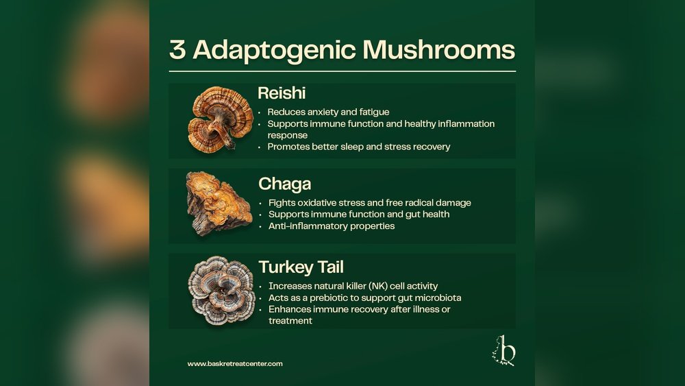 How to Use Mushrooms As Adaptogens for Hpa Axis Recovery