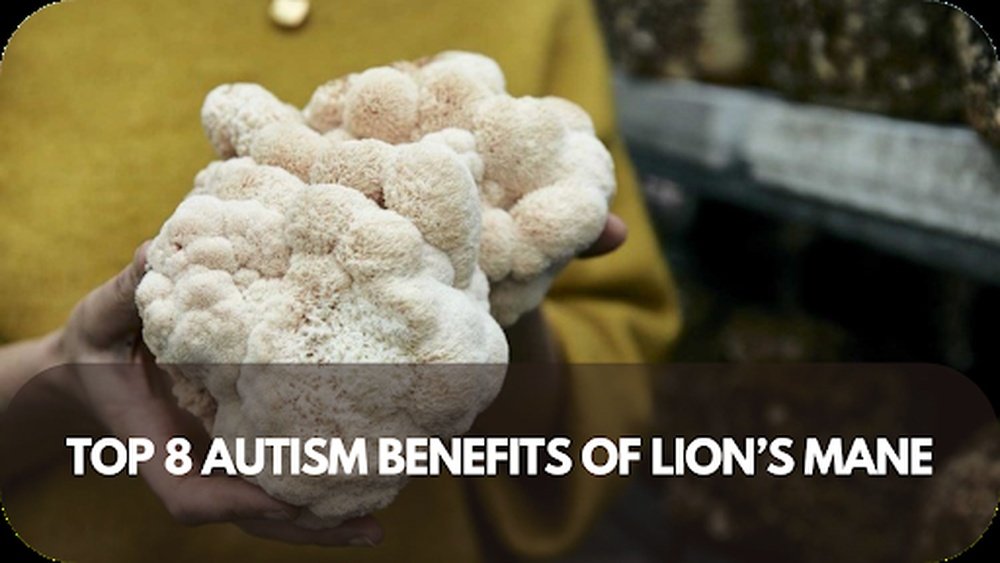 Lion'S Mane And Autism Spectrum: Emerging Research on Neural Support