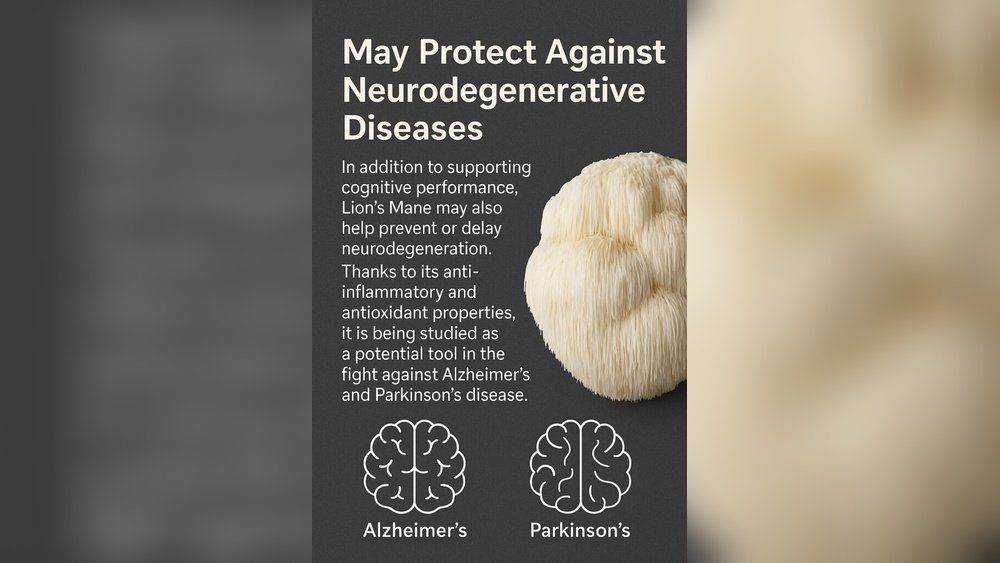 Lion'S Mane And Parkinson'S Disease: What Preclinical Studies Suggest