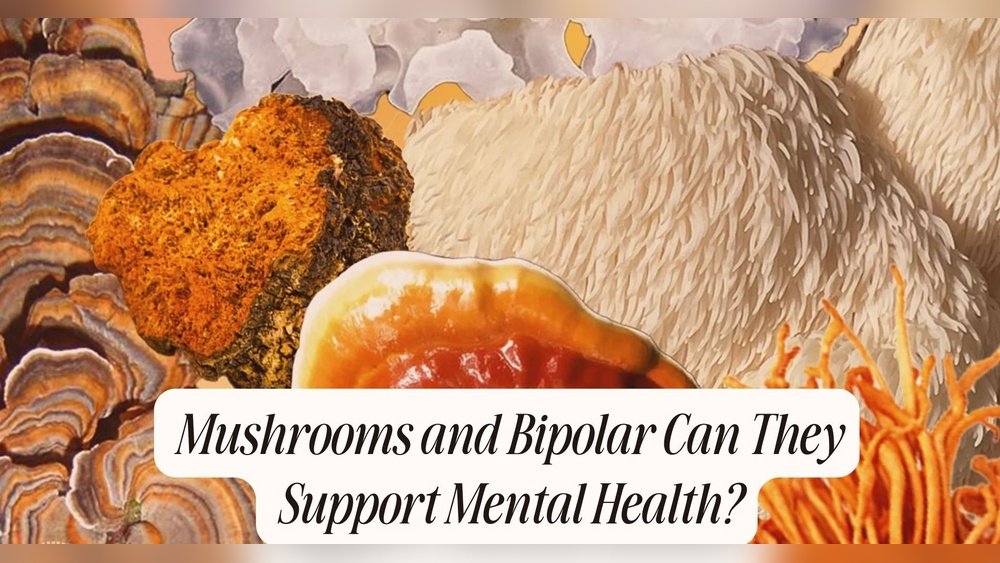 Lion'S Mane for Bipolar Disorder: Exploring Mood-Stabilizing Potential