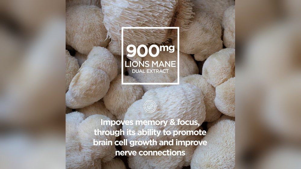 Lion'S Mane for Creativity: How Neurogenesis Fuels New Ideas