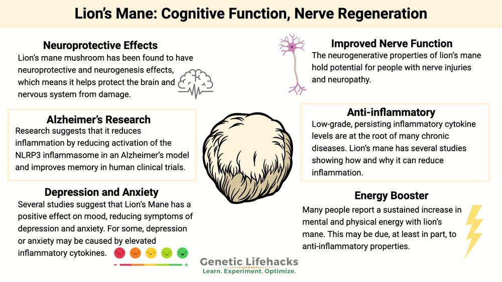 Lion'S Mane for Neuropathy: Can It Help Repair Damaged Nerves?