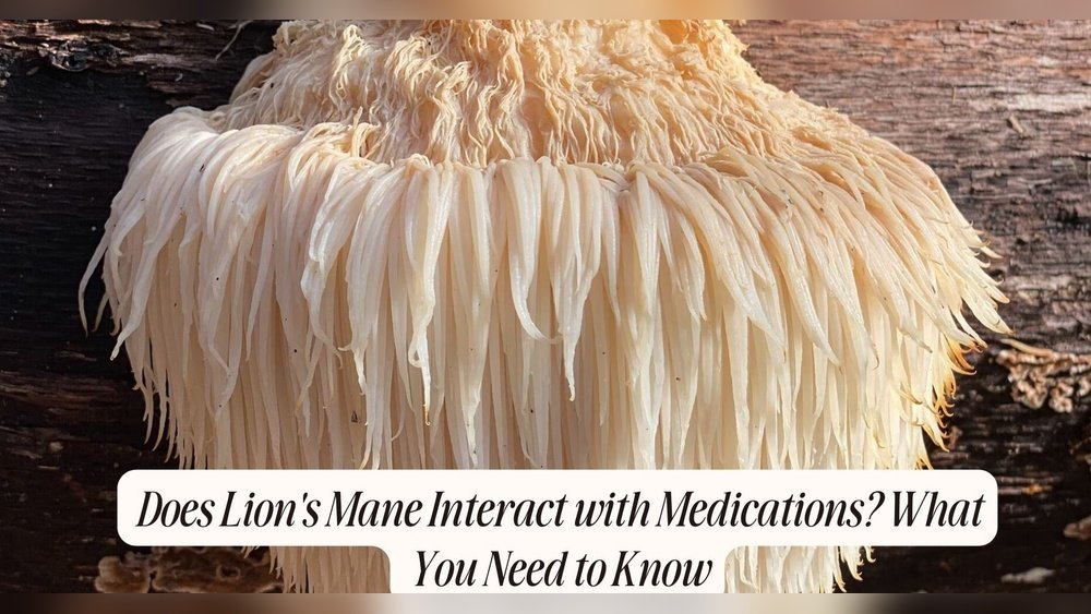 Lion'S Mane Interactions: Medications You Should Watch Out For