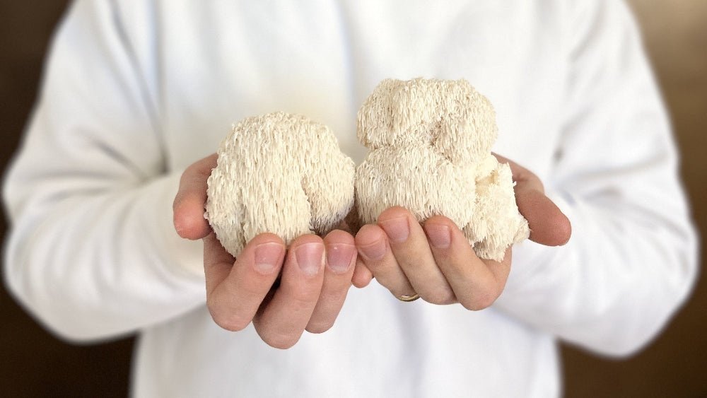 Lion'S Mane Mushroom And Gut Health: The Surprising Brain-Gut Link