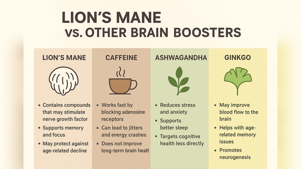 Lion'S Mane Vs Ginkgo Biloba: Which Is Better for Memory?