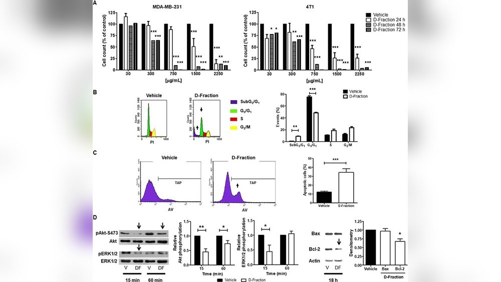 Maitake And Breast Cancer Prevention: D-Fraction Study Review