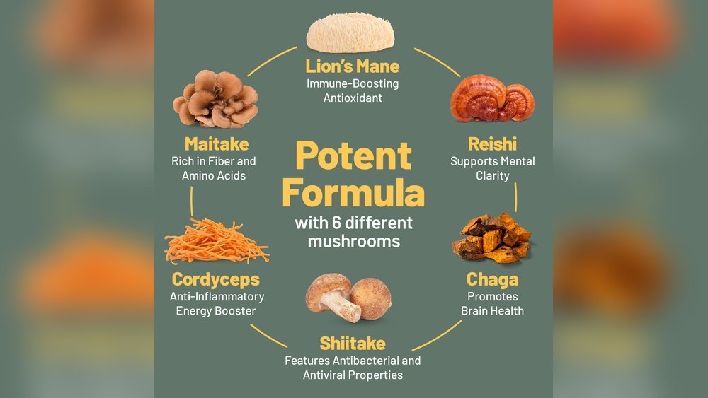 Maitake Mushroom Benefits: The Immune-Boosting 'Dancing Mushroom'