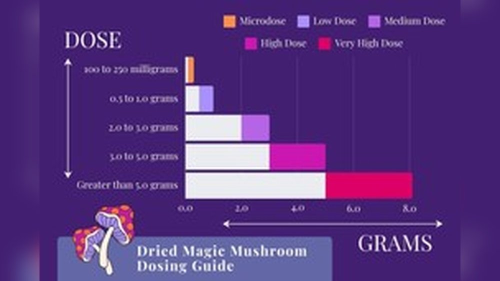 Medicinal Mushroom Dosing Guide: How Much of Each Species to Take