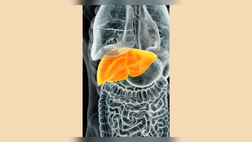 Medicinal Mushrooms for Hepatitis: Liver Recovery Support Explored