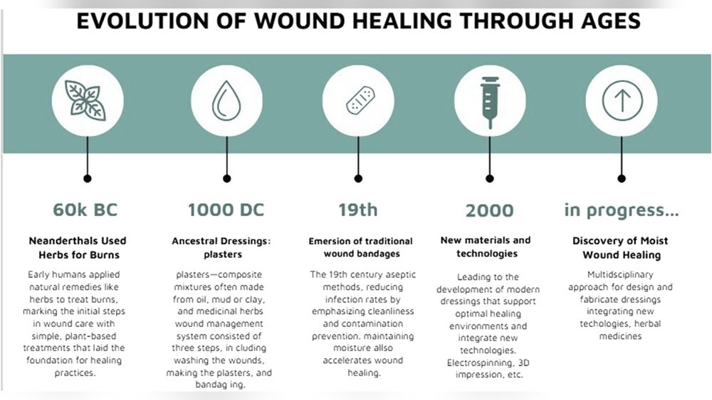 Medicinal Mushrooms for Wound Healing: Accelerating Tissue Repair