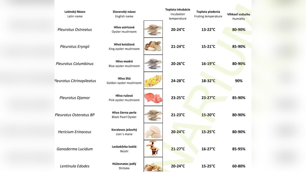 Mushroom Growing Temperature And Humidity Guide by Species