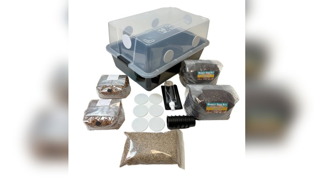 Mushroom Monotub Tek: A Beginner-Friendly Bulk Growing Method