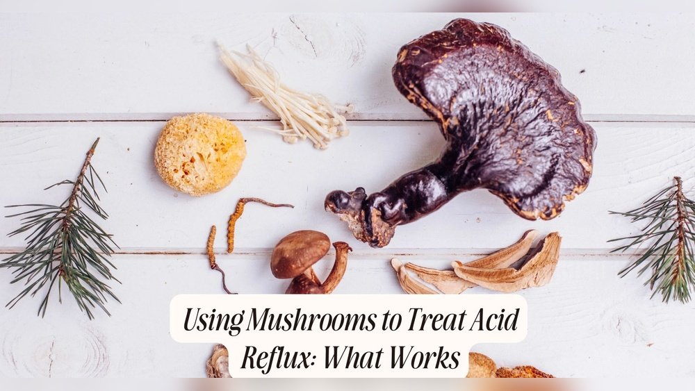 Mushroom Protocol for Acid Reflux And Gerd: Soothing the Esophagus