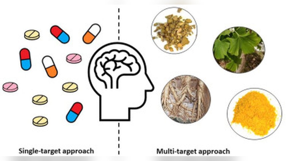 Mushroom Protocol for Chronic Inflammation: A Multi-Targeted Approach