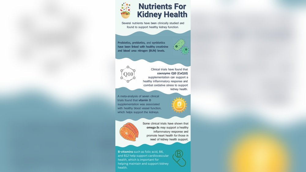 Mushroom Protocol for Kidney Health: Renal Protection And Support