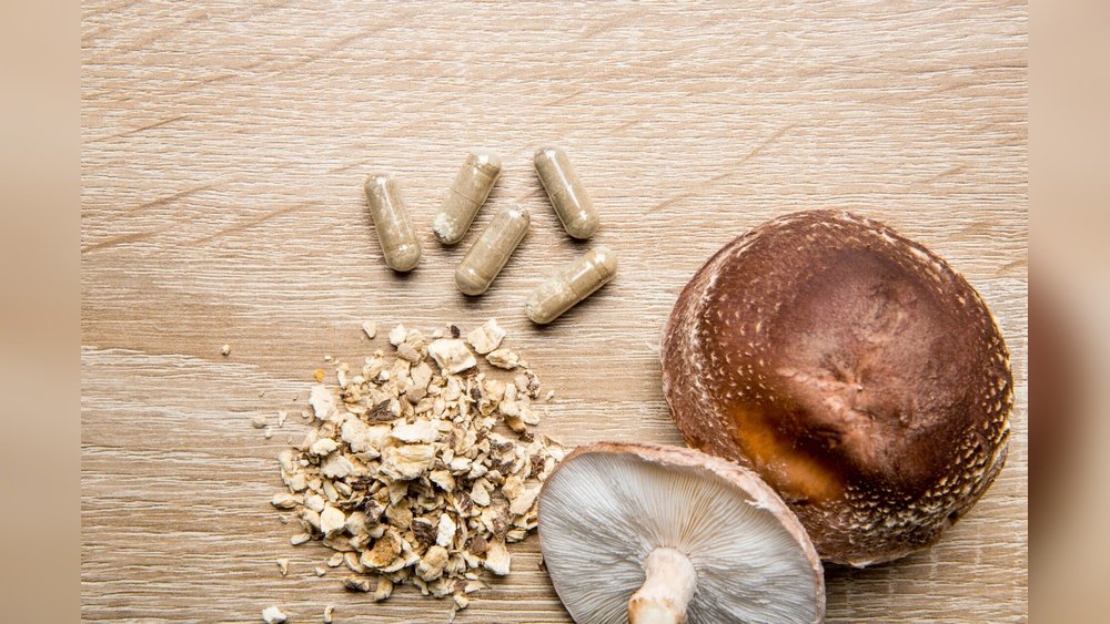 Mushroom Protocol for Lyme Disease: Supporting Recovery With Fungi