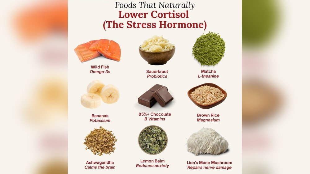 Mushroom Protocol for Perimenopause: Smoothing the Hormonal Transition
