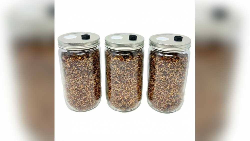 Mushroom Spawn 101: How to Buy And Store And Inoculate Like a Pro