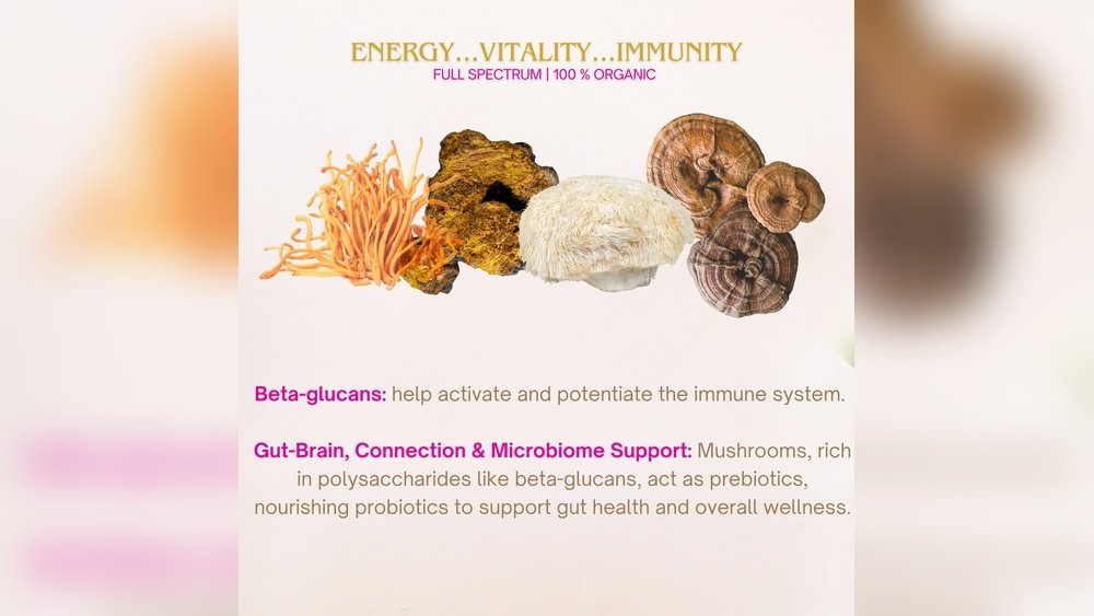 Reishi Beta-Glucans And Brain Health: The Gut-Brain Connection