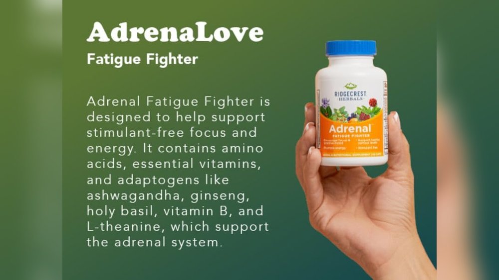 Reishi for Adrenal Fatigue: Can Adaptogens Restore Your Energy?