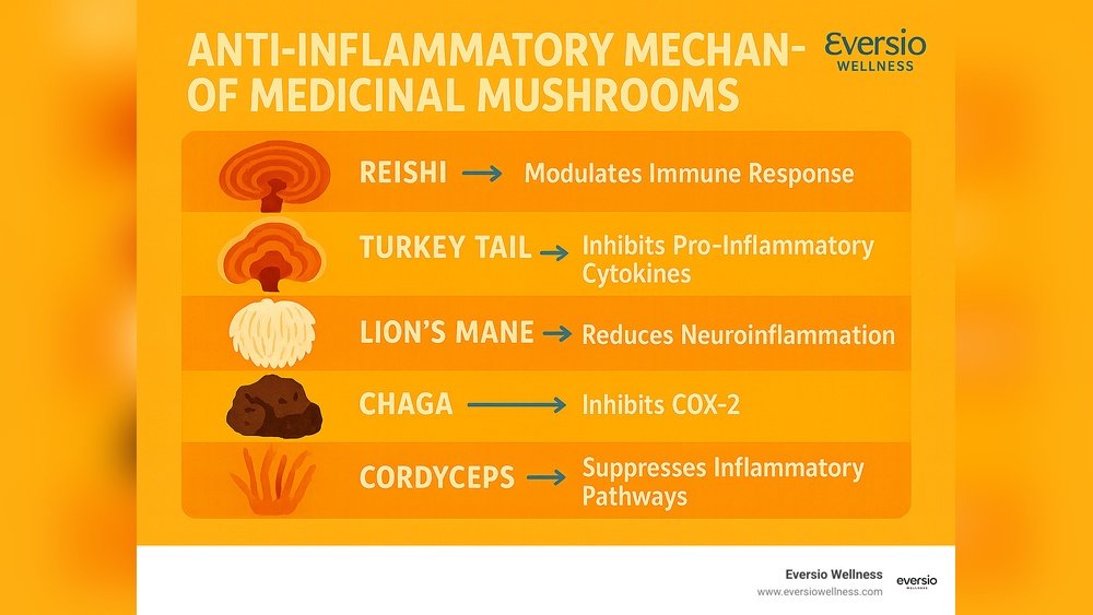 Reishi Mushroom for Chronic Pain: Anti-Inflammatory Mechanisms Explained