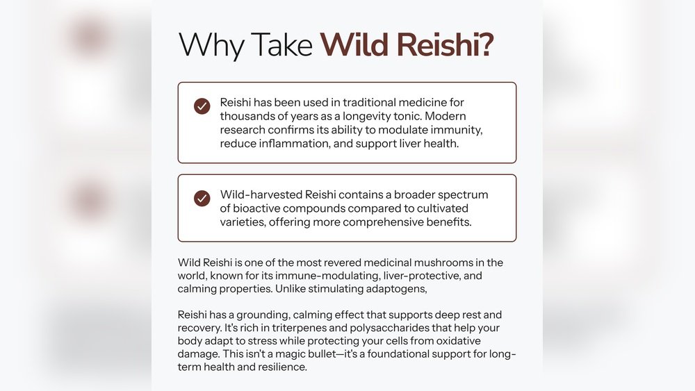 Reishi Polysaccharides: The Compounds Behind the Calming Effect